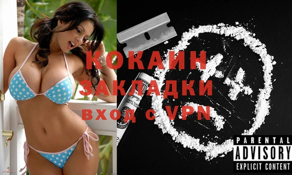 стафф Каменногорск