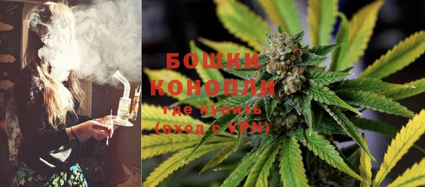 шишки Касимов