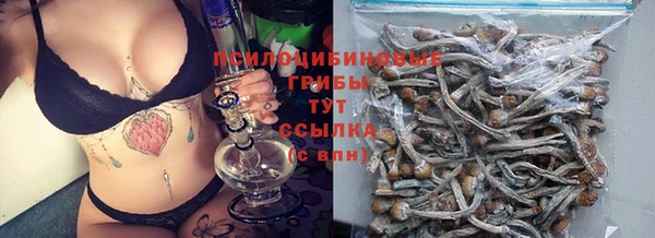 амфетамин Каменка